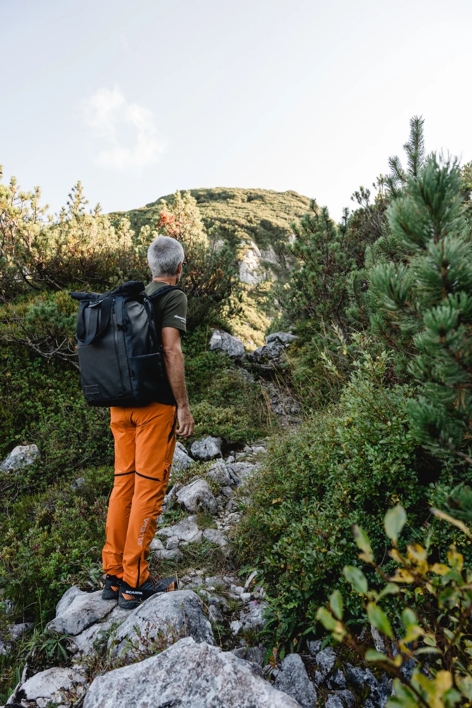 Bergsteiger mit Rucksack steht auf Felsen und blickt zum bewaldeten Gipfel hinauf.